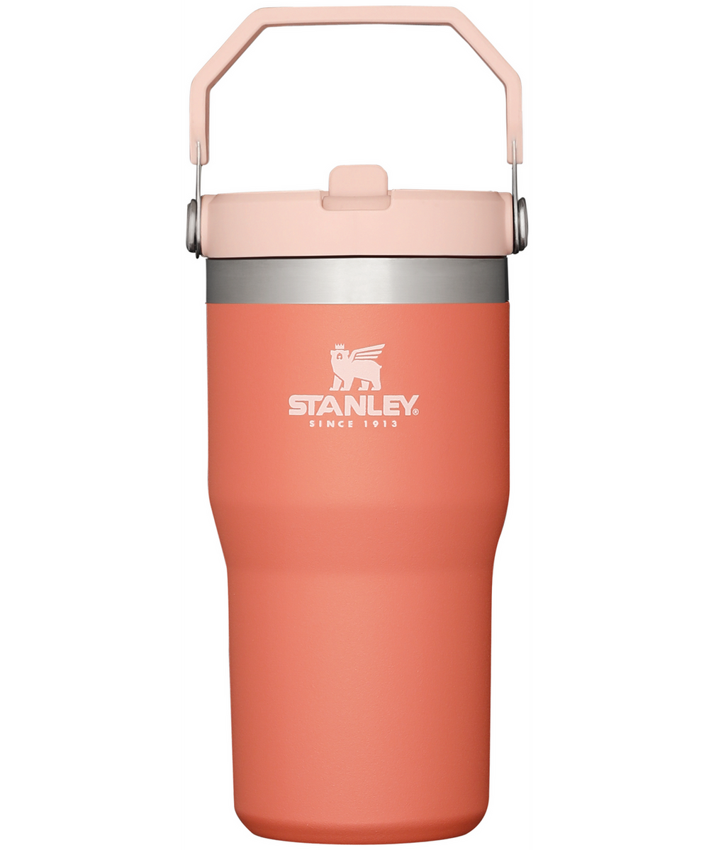 Go IceFlow Flip Straw Tumbler | 20 oz | Stanley Lavender Cub